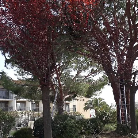 Apartment Zen Garden Pool,3bedrooms, Beach800m,box&wifi Antibes